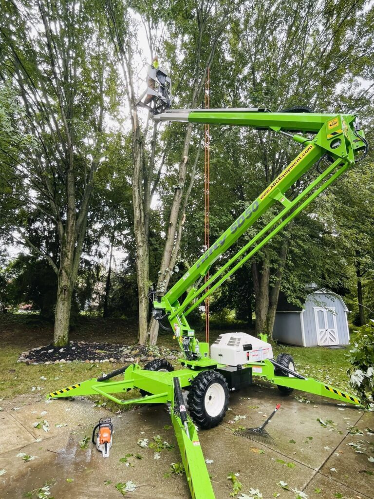 great-tree-trimming-service