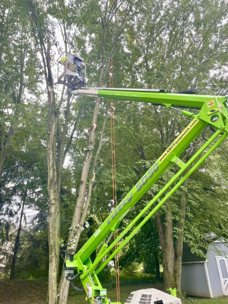 safe-tree-removal-with-a-lift