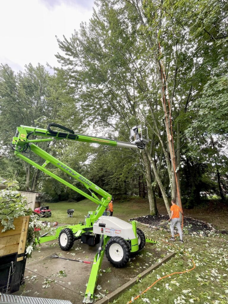 tree-services-westlake-oh