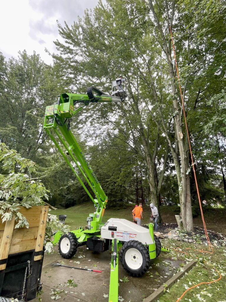 tree-trimming-in-a-lift