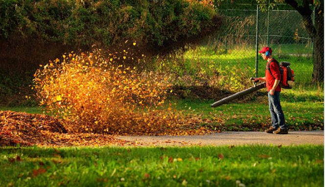 Leaf-blowing-parma-ohio