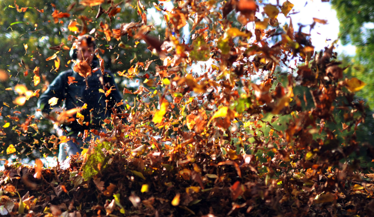 Leaf-cleanup-independence-ohio