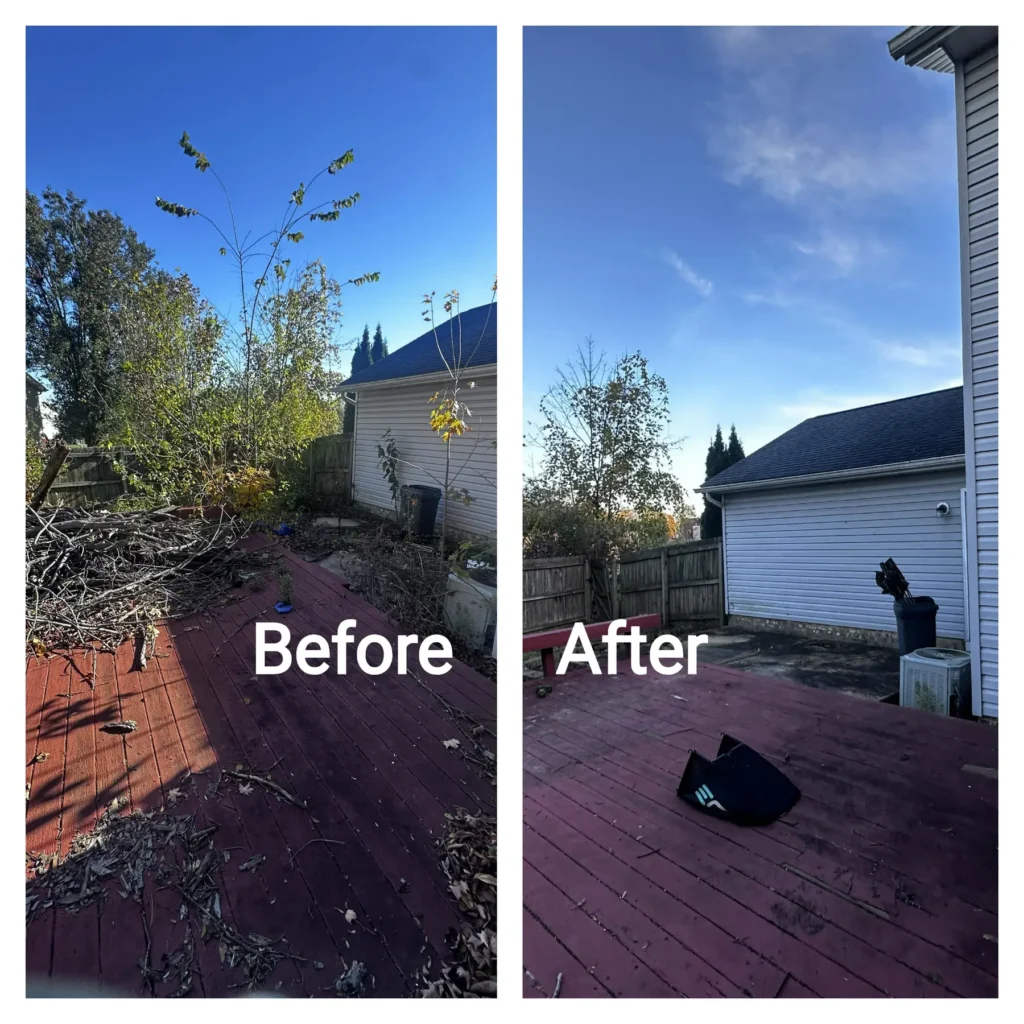 Before-After-Lavish-Landscape-Parma-Ohio_result