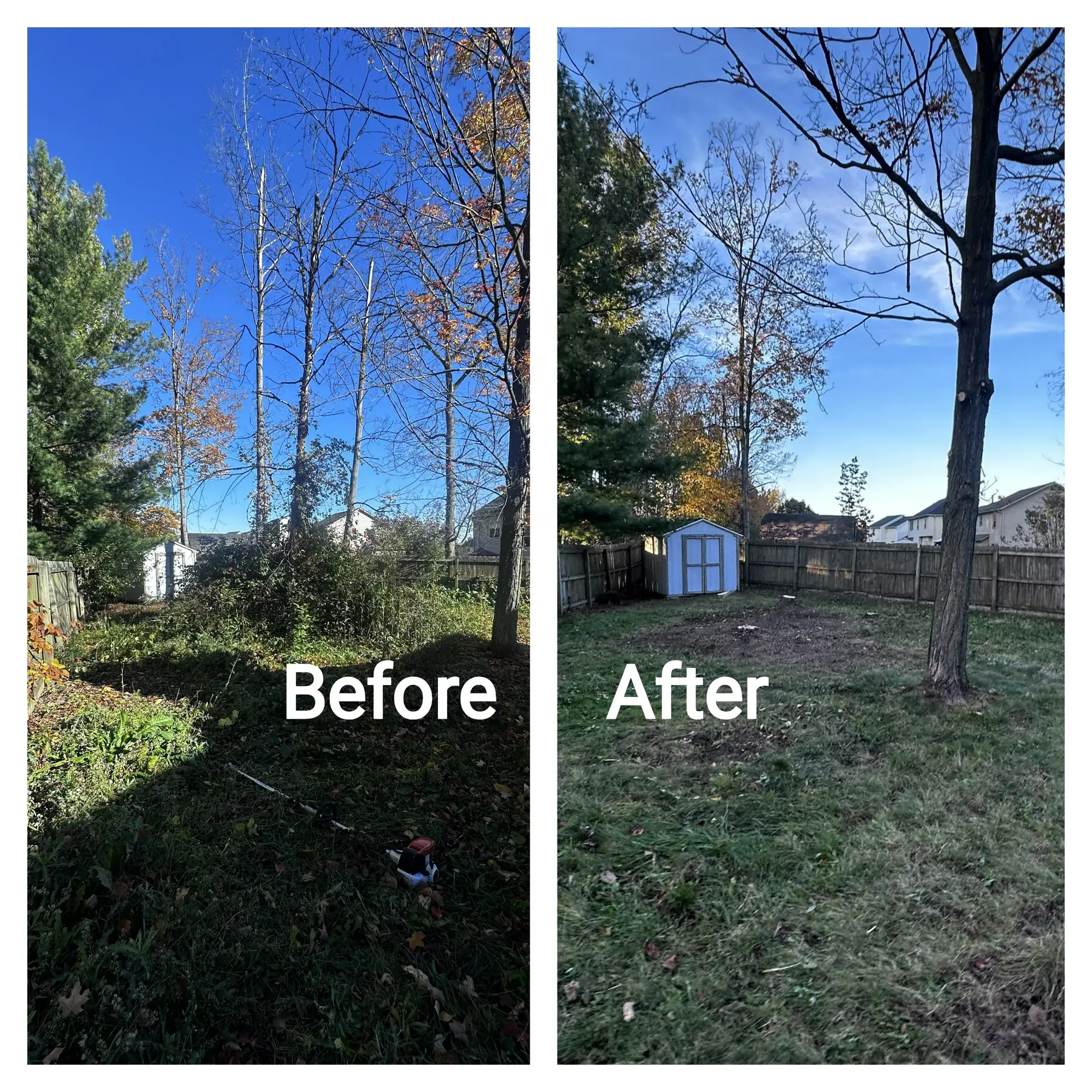 Before-After-Lavish-Landscaping-Parma-Ohio_result